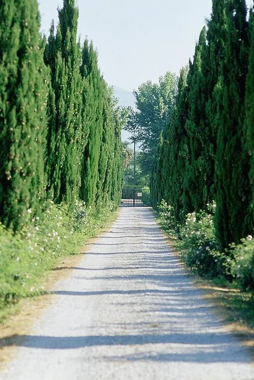 Vila Fattoria Di Migliarino Migliarino Pisano